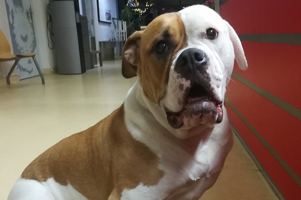 Lucy kreeg een brok in haar keel